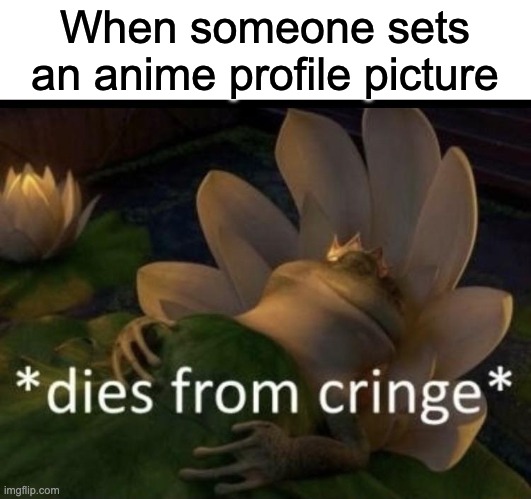 Dies from cringe | When someone sets an anime profile picture | image tagged in dies from cringe,cringe,stinks | made w/ Imgflip meme maker