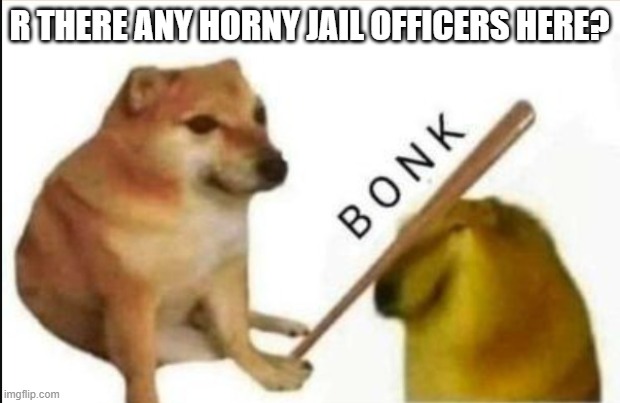 Doge Bonk | R THERE ANY HORNY JAIL OFFICERS HERE? | image tagged in doge bonk | made w/ Imgflip meme maker