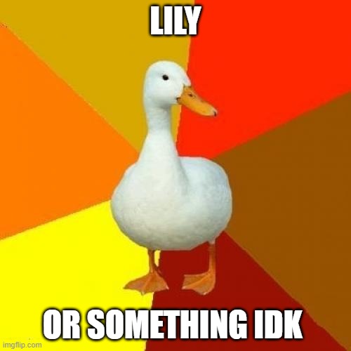 Tech Impaired Duck | LILY; OR SOMETHING IDK | image tagged in memes,tech impaired duck | made w/ Imgflip meme maker