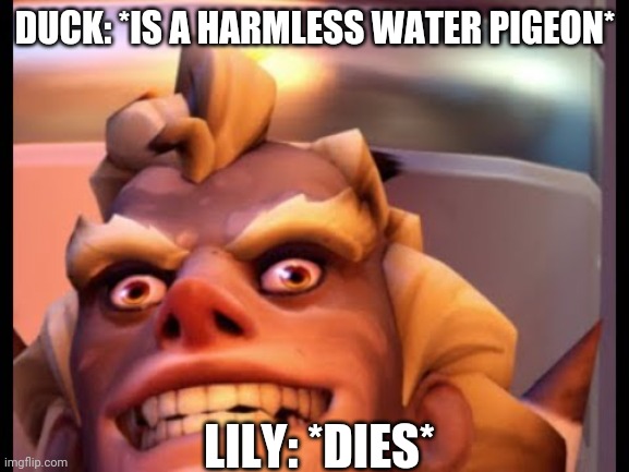 Ratjunk | DUCK: *IS A HARMLESS WATER PIGEON*; LILY: *DIES* | image tagged in ratjunk | made w/ Imgflip meme maker