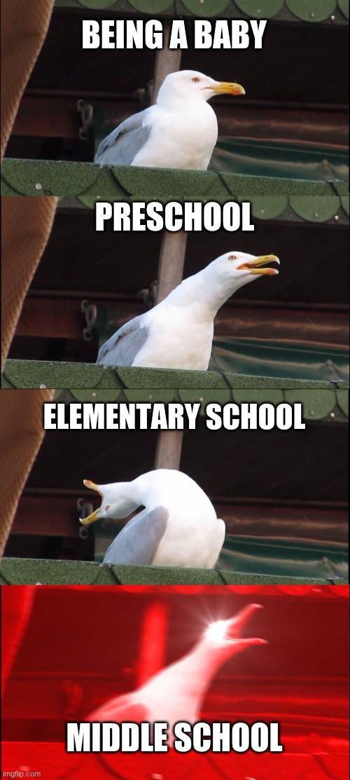 Inhaling Seagull | BEING A BABY; PRESCHOOL; ELEMENTARY SCHOOL; MIDDLE SCHOOL | image tagged in memes,inhaling seagull | made w/ Imgflip meme maker