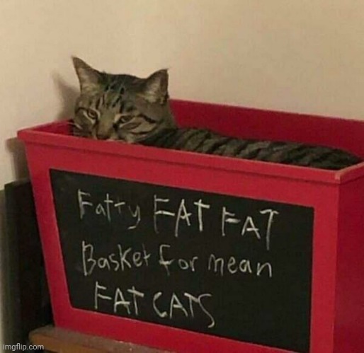 I need one of these | image tagged in fat cat,cats | made w/ Imgflip meme maker