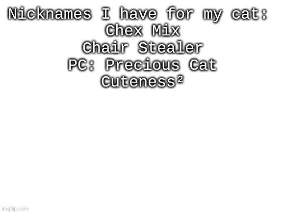 Catz | Nicknames I have for my cat: 
Chex Mix
Chair Stealer
PC: Precious Cat
Cuteness² | image tagged in blank white template | made w/ Imgflip meme maker