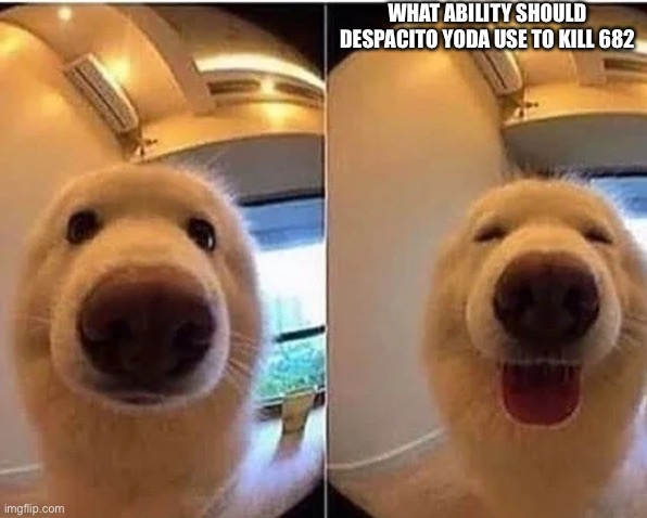 wholesome doggo | WHAT ABILITY SHOULD DESPACITO YODA USE TO KILL 682 | image tagged in wholesome doggo | made w/ Imgflip meme maker