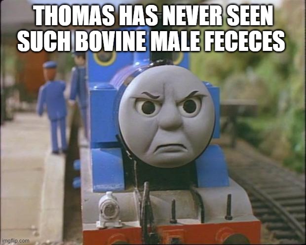 Thomas the tank engine | THOMAS HAS NEVER SEEN SUCH BOVINE MALE FECECES | image tagged in thomas the tank engine | made w/ Imgflip meme maker