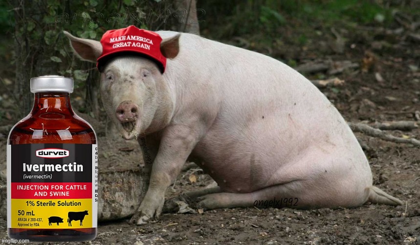 ivermectin | image tagged in ivermectin,covid-19,trump supporters,delta variant,clown car republicans,swine | made w/ Imgflip meme maker