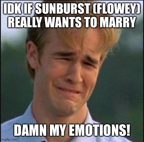 Ah man… | IDK IF SUNBURST (FLOWEY) REALLY WANTS TO MARRY; DAMN MY EMOTIONS! | image tagged in sad man | made w/ Imgflip meme maker