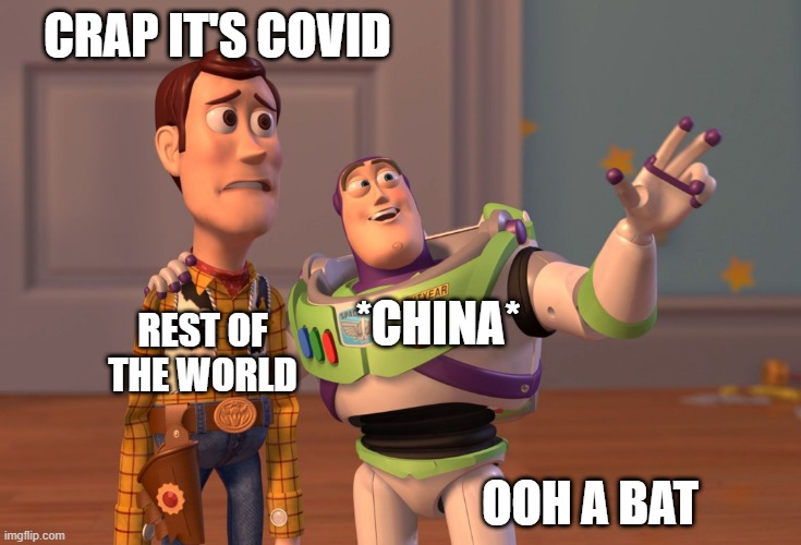 2019 | CRAP IT'S COVID; *CHINA*; REST OF THE WORLD; OOH A BAT | image tagged in memes,x x everywhere,covid-19,covid19,bats | made w/ Imgflip meme maker