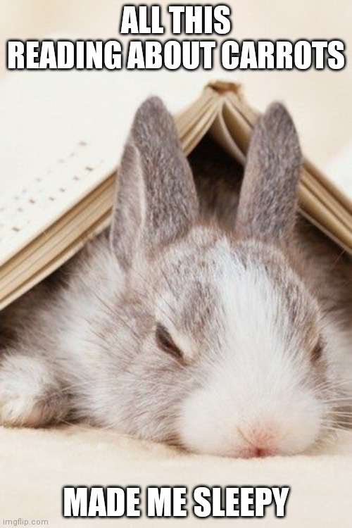 SLEEPY BUNNY | ALL THIS READING ABOUT CARROTS; MADE ME SLEEPY | image tagged in bunny,rabbit,bunnies | made w/ Imgflip meme maker