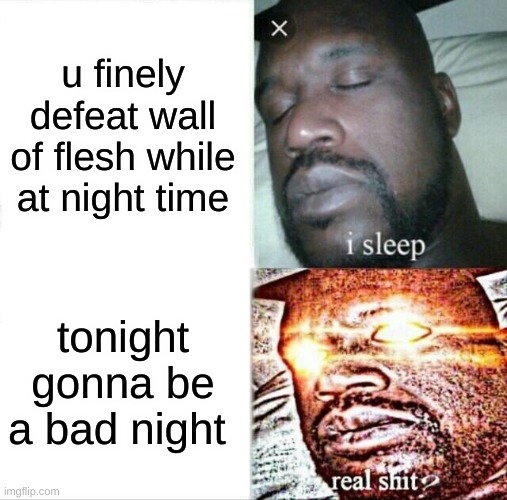Sleeping Shaq Meme | u finely defeat wall of flesh while at night time; tonight gonna be a bad night | image tagged in memes,sleeping shaq,terraria | made w/ Imgflip meme maker