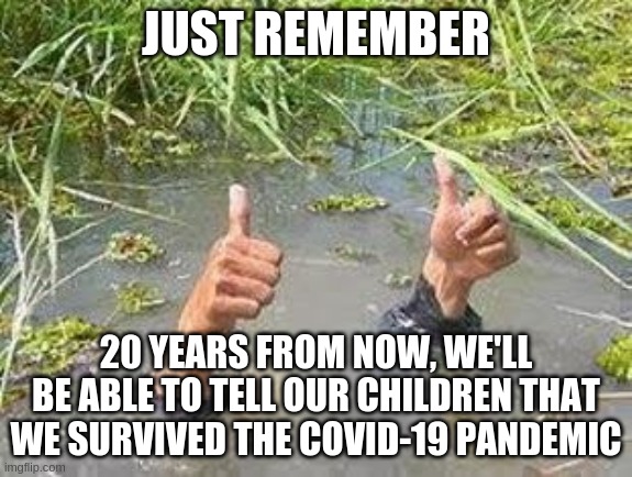 These troublesome years will be in history books | JUST REMEMBER; 20 YEARS FROM NOW, WE'LL BE ABLE TO TELL OUR CHILDREN THAT WE SURVIVED THE COVID-19 PANDEMIC | image tagged in flooding thumbs up | made w/ Imgflip meme maker