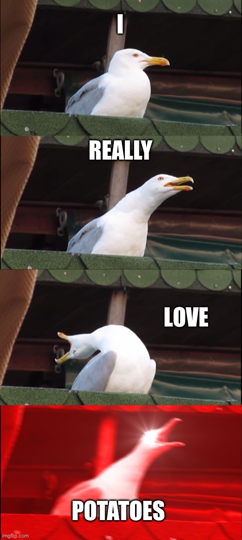 Inhaling Seagull | I; REALLY; LOVE; POTATOES | image tagged in memes,inhaling seagull | made w/ Imgflip meme maker