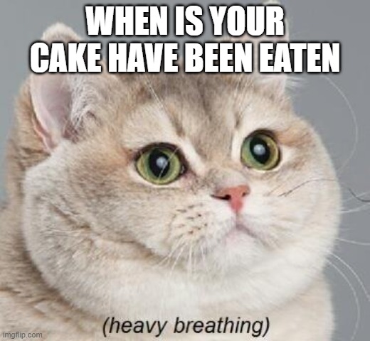 When your Cake has been Eaten | WHEN IS YOUR CAKE HAVE BEEN EATEN | image tagged in memes,heavy breathing cat | made w/ Imgflip meme maker