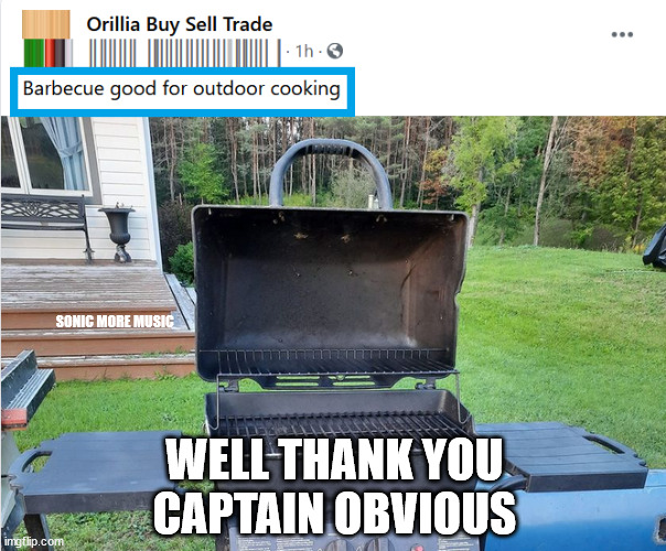 Captain Obvious | SONIC MORE MUSIC; WELL THANK YOU 
CAPTAIN OBVIOUS | image tagged in captain obvious,really,funny memes,orillia | made w/ Imgflip meme maker
