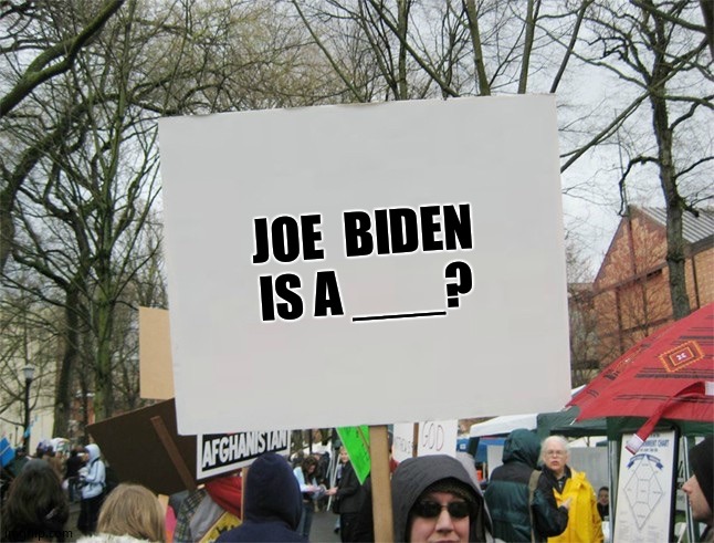 Fill In The Blank | JOE  BIDEN
IS A ___? | image tagged in blank protest sign | made w/ Imgflip meme maker