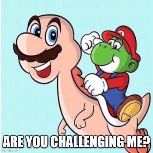 mario and yoshi | ARE YOU CHALLENGING ME? | image tagged in mario and yoshi | made w/ Imgflip meme maker