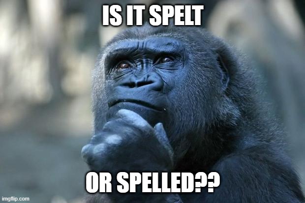 Deep Thoughts | IS IT SPELT OR SPELLED?? | image tagged in deep thoughts | made w/ Imgflip meme maker