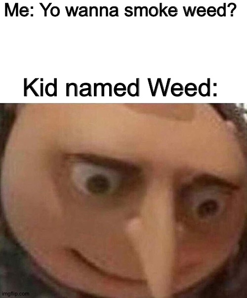 Me: Yo wanna smoke weed? Kid named Weed: | image tagged in blank white template,gru meme | made w/ Imgflip meme maker