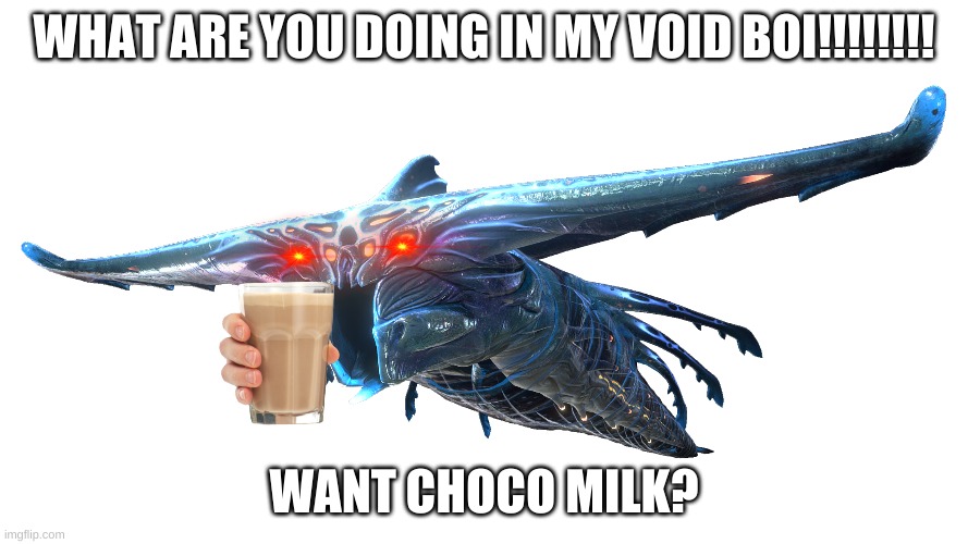 WHAT ARE YOU DOING IN MY VOID BOI!!!!!!!! WANT CHOCO MILK? | image tagged in wot | made w/ Imgflip meme maker