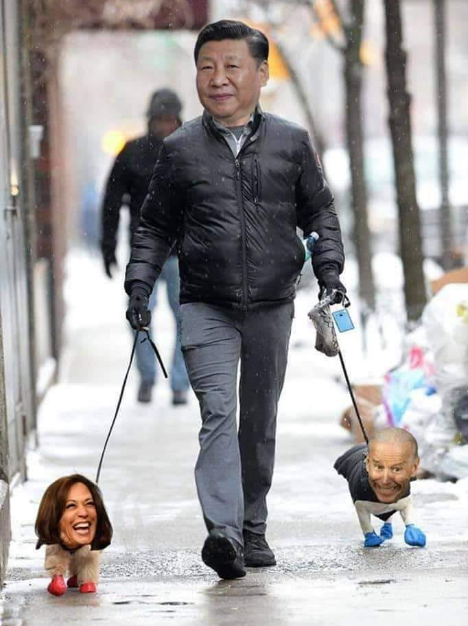 High Quality Xi walking dogs Blank Meme Template