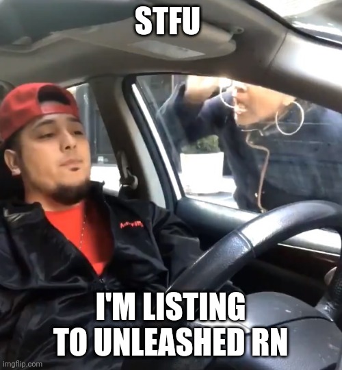 stfu im listening to | STFU; I'M LISTING TO UNLEASHED RN | image tagged in stfu im listening to | made w/ Imgflip meme maker