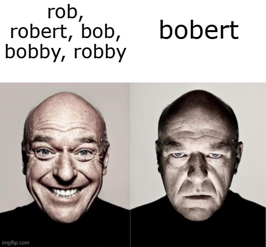 b o b e r t | bobert; rob, robert, bob, bobby, robby | image tagged in hank,memes,bruh | made w/ Imgflip meme maker