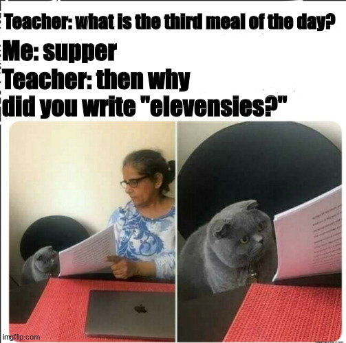 I don't think she knows about second breakfast... | Teacher: what is the third meal of the day? Me: supper; Teacher: then why did you write "elevensies?" | image tagged in then why did you write,lord of the rings,hobbits,i'm hungry | made w/ Imgflip meme maker