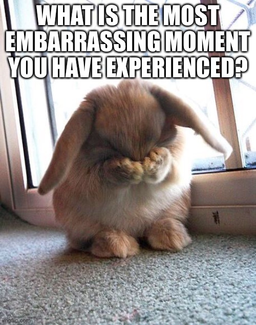 I have a lot, and I mean a LOT | WHAT IS THE MOST EMBARRASSING MOMENT YOU HAVE EXPERIENCED? | image tagged in embarrassed bunny | made w/ Imgflip meme maker
