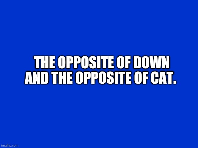 Jeopardy Clue Card/Screen | THE OPPOSITE OF DOWN AND THE OPPOSITE OF CAT. | image tagged in jeopardy clue card/screen | made w/ Imgflip meme maker