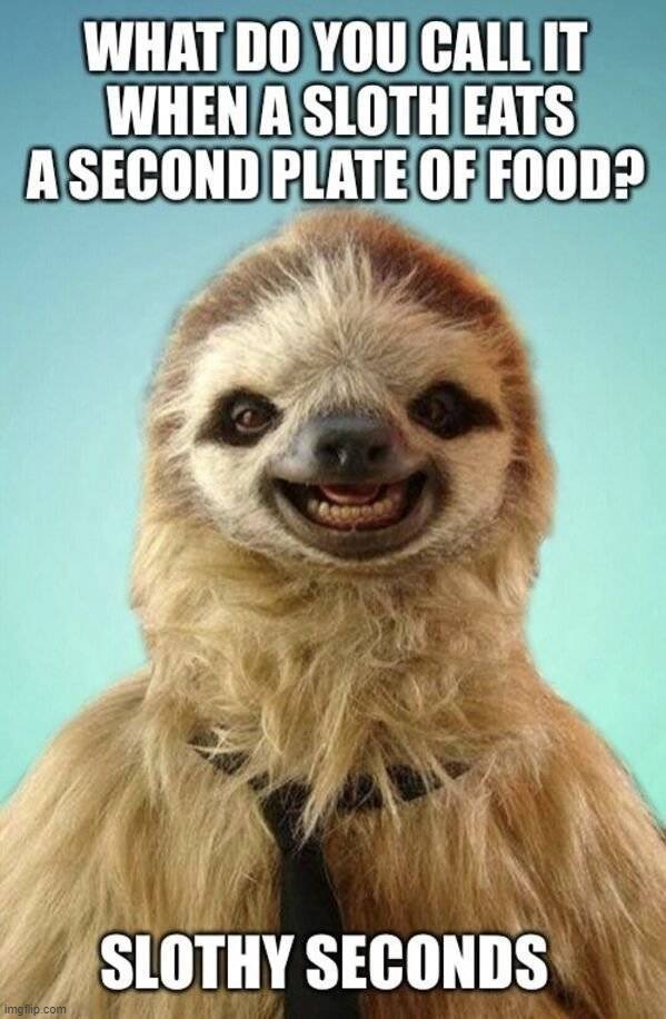 image tagged in sloth | made w/ Imgflip meme maker