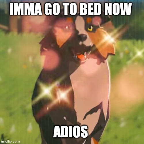 Zelda dog | IMMA GO TO BED NOW; ADIOS | image tagged in zelda dog | made w/ Imgflip meme maker