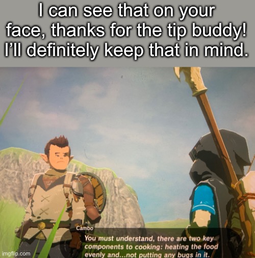 HMMMMMMMM, I can see that... |  I can see that on your face, thanks for the tip buddy! I’ll definitely keep that in mind. | image tagged in original meme,glitch,botw,funny memes,memes,tips | made w/ Imgflip meme maker