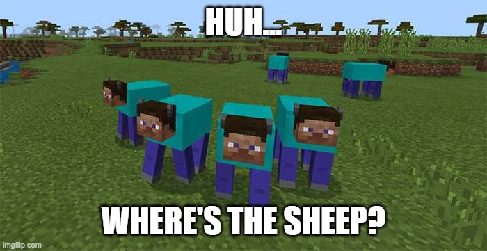 Day 1 of Minecraft SMP | HUH... WHERE'S THE SHEEP? | image tagged in me and the boys | made w/ Imgflip meme maker