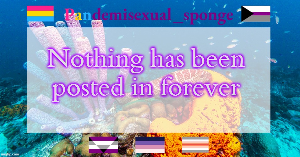 Idk what to post to liven this dead stream | Nothing has been posted in forever | image tagged in pandemisexual_sponge temp,demisexual_sponge | made w/ Imgflip meme maker