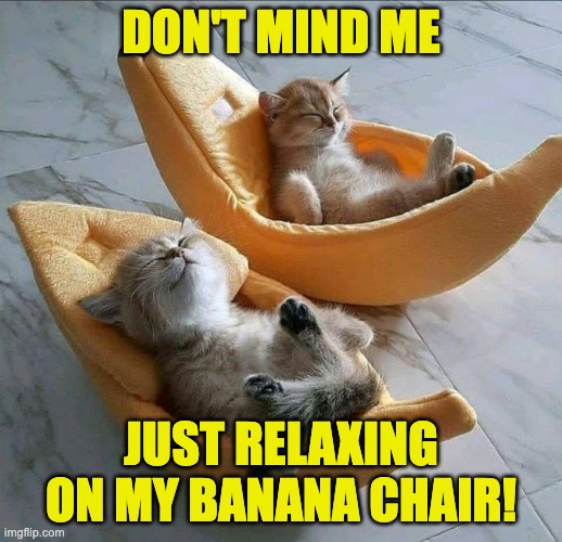 DON'T MIND ME; JUST RELAXING ON MY BANANA CHAIR! | image tagged in banana,chair | made w/ Imgflip meme maker