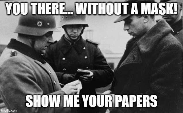 Show me your papers | YOU THERE... WITHOUT A MASK! SHOW ME YOUR PAPERS | image tagged in covid-19 | made w/ Imgflip meme maker