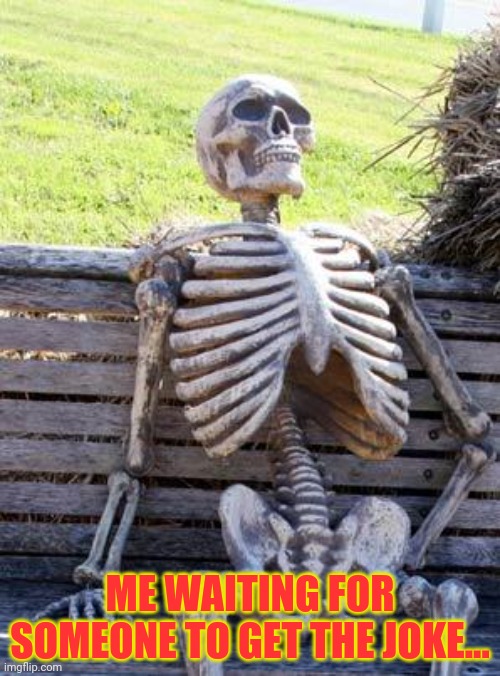 Waiting Skeleton Meme | ME WAITING FOR SOMEONE TO GET THE JOKE... | image tagged in memes,waiting skeleton | made w/ Imgflip meme maker