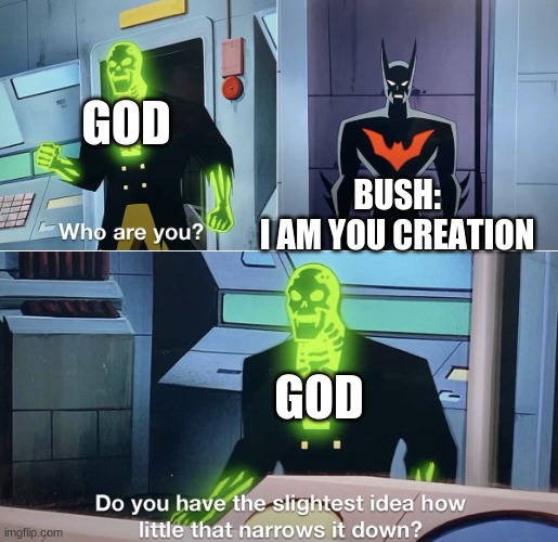 Do you have the slightest idea how little that narrows it down? | GOD; BUSH:
I AM YOU CREATION; GOD | image tagged in do you have the slightest idea how little that narrows it down | made w/ Imgflip meme maker