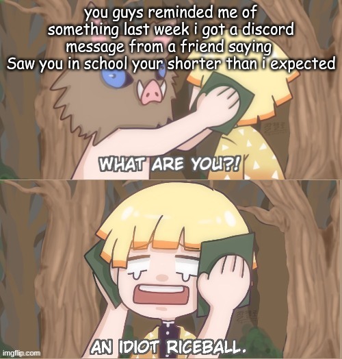 An Idiot Riceball | you guys reminded me of something last week i got a discord message from a friend saying 
Saw you in school your shorter than i expected | image tagged in an idiot riceball | made w/ Imgflip meme maker
