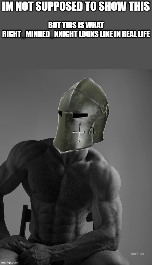 shhhhhhhh......... | BUT THIS IS WHAT RIGHT_MINDED_KNIGHT LOOKS LIKE IN REAL LIFE; IM NOT SUPPOSED TO SHOW THIS | image tagged in giga chad,crusader | made w/ Imgflip meme maker
