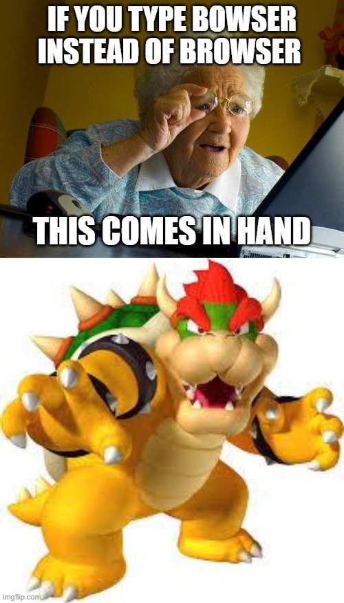 browser or bowser | IF YOU TYPE BOWSER INSTEAD OF BROWSER; THIS COMES IN HAND | image tagged in memes,grandma finds the internet,bowser | made w/ Imgflip meme maker