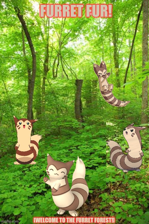 The furret woods rustle with the sound of furrets! | FURRET FUR! [WELCOME TO THE FURRET FOREST!] | image tagged in lost in the woods,furret,woods,pokemon | made w/ Imgflip meme maker