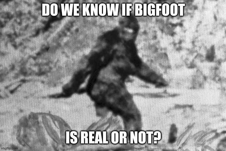 We need answers | DO WE KNOW IF BIGFOOT; IS REAL OR NOT? | image tagged in bigfot,question | made w/ Imgflip meme maker