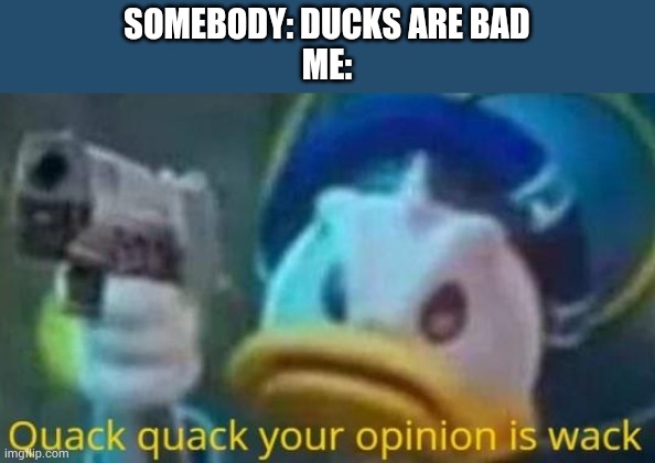 quack quack your opinion is wack | SOMEBODY: DUCKS ARE BAD
ME: | image tagged in quack quack your opinion is wack | made w/ Imgflip meme maker