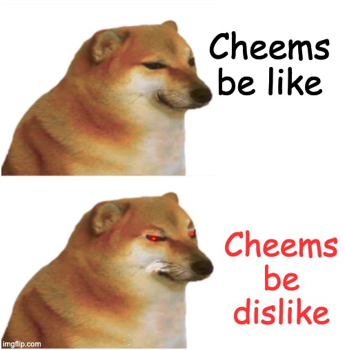 cheems Memes & GIFs Imgflip