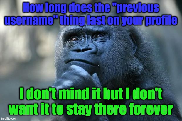 Deep Thoughts | How long does the ''previous username'' thing last on your profile; I don't mind it but I don't want it to stay there forever | image tagged in deep thoughts | made w/ Imgflip meme maker