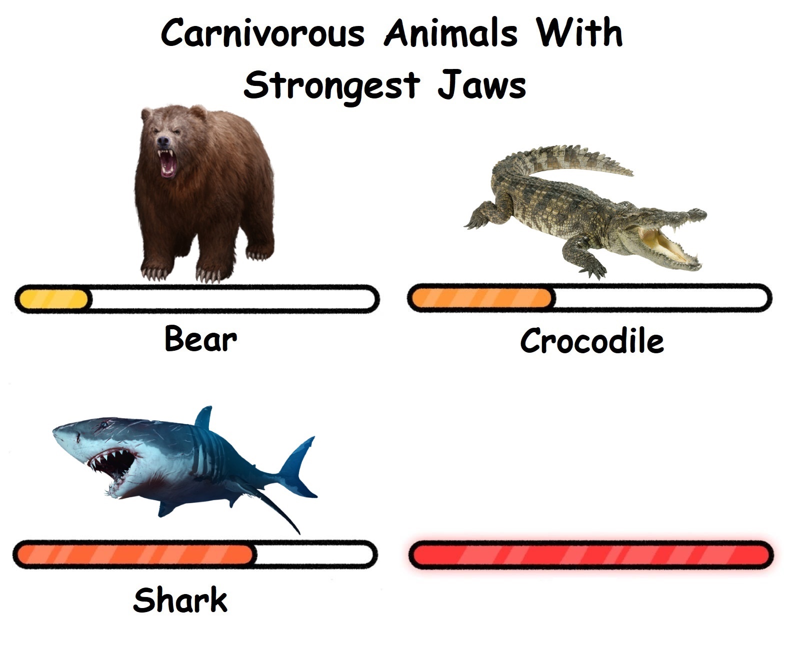 High Quality Carnivorus animals with strongest jaws Blank Meme Template