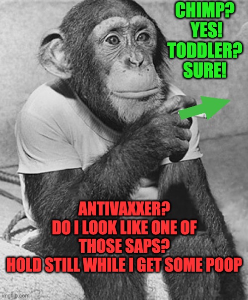 Smoking Chimpanzee | CHIMP?
 YES!
TODDLER?
SURE! ANTIVAXXER?
DO I LOOK LIKE ONE OF THOSE SAPS?
HOLD STILL WHILE I GET SOME POOP | image tagged in smoking chimpanzee | made w/ Imgflip meme maker