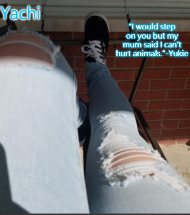 Yachi's shoe temp Blank Meme Template