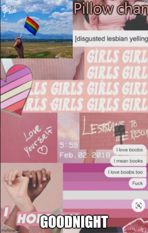 Hello | GOODNIGHT | image tagged in lesbian | made w/ Imgflip meme maker